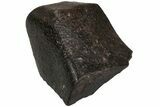 Chondrite Meteorite ( g) - Western Sahara Desert #222645-1